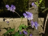 dsc00805