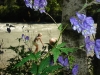 dsc00809