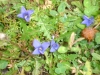 dsc00971
