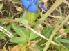 dsc01010