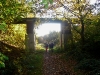 dsc02936a