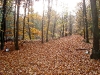 dsc02984a