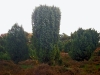 dsc03004a