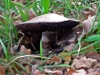 dsc01666a