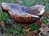 dsc01670a