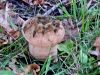 dsc01675a