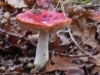 dsc01703a