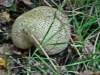 dsc01769a