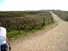 dsc02336a